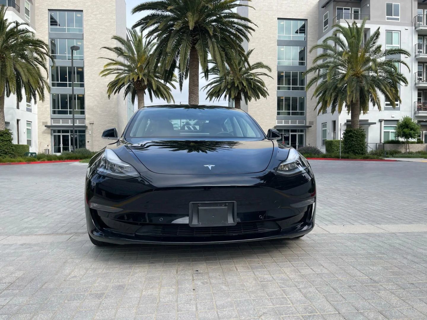Used 2019 Tesla Model 3 Long Range RWD image 2