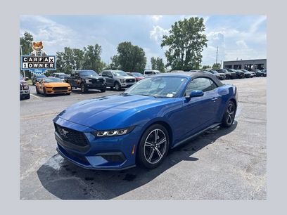Used 2024 Ford Mustang Premium