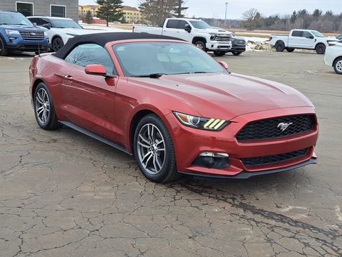 Used 2016 Ford Mustang Premium image 2