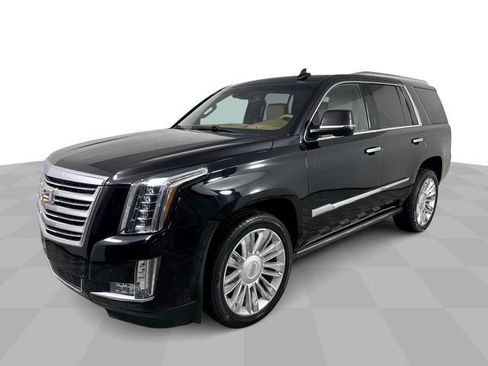 Used 2017 Cadillac Escalade Platinum AWD/4WD image 1