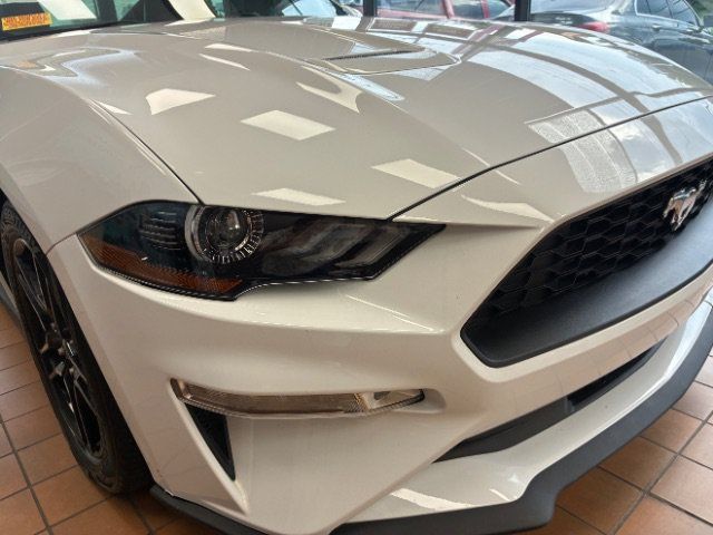 Used 2019 Ford Mustang Premium RWD image 2