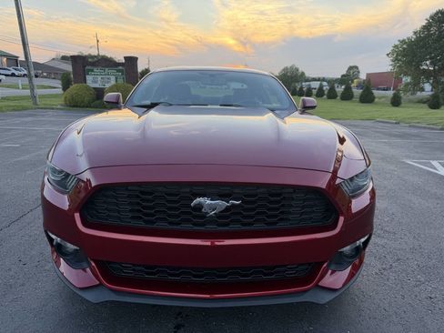 Used 2017 Ford Mustang Coupe image 13