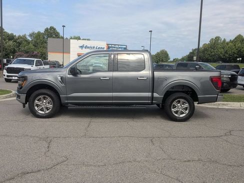 Used 2025 Ford F150 XLT w/ Equipment Group 301A Standard AWD/4WD image 2