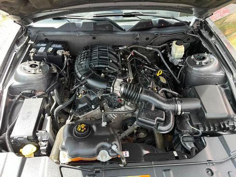 Used 2014 Ford Mustang Premium w/ Equipment Group 202A RWD image 23