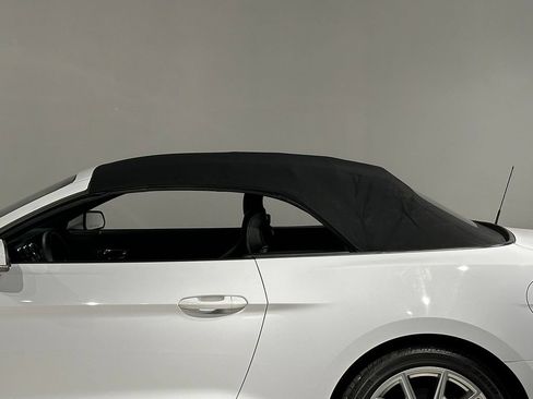 Used 2015 Ford Mustang Premium w/ Equipment Group 201A RWD image 81