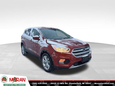 Used 2019 Ford Escape SE image 7