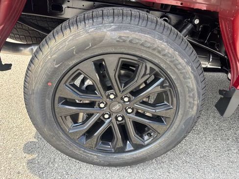 New 2026 Ford F150 XLT AWD/4WD image 20
