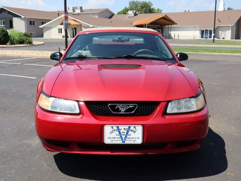 Used 1999 Ford Mustang Convertible RWD image 13