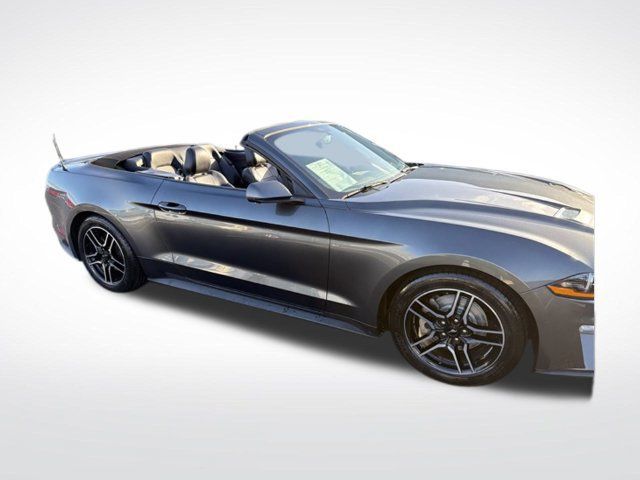Used 2019 Ford Mustang Premium RWD image 14
