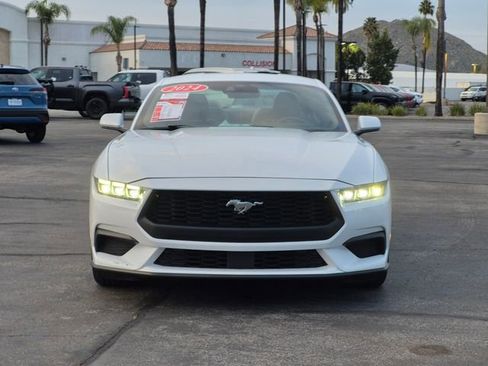 Used 2024 Ford Mustang Premium image 2