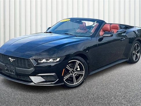 Used 2024 Ford Mustang Premium image 2