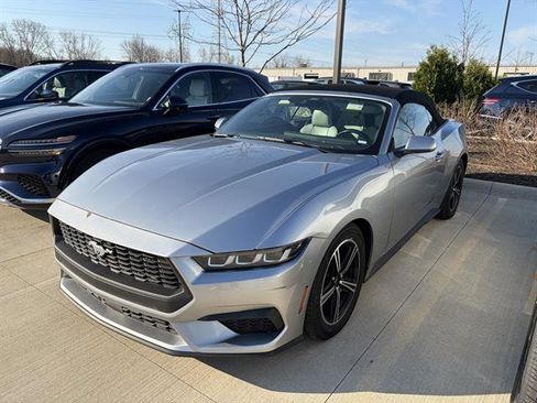 Used 2024 Ford Mustang Premium image 1