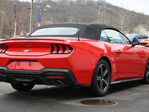 Used 2024 Ford Mustang Premium image 5