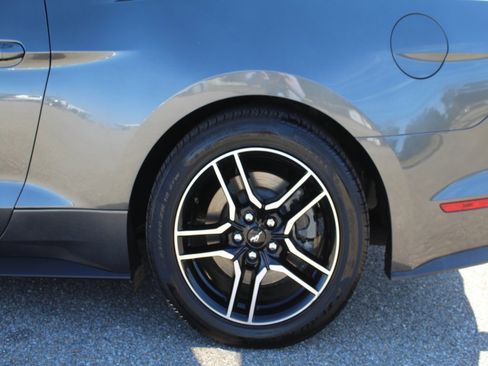 Used 2017 Ford Mustang GT Premium w/ Equipment Group 401A image 19