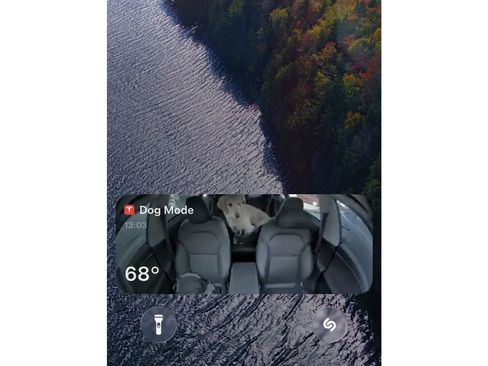 Used 2019 Tesla Model 3 Standard Range image 17