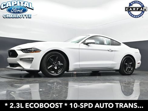 Used 2019 Ford Mustang Coupe RWD image 20