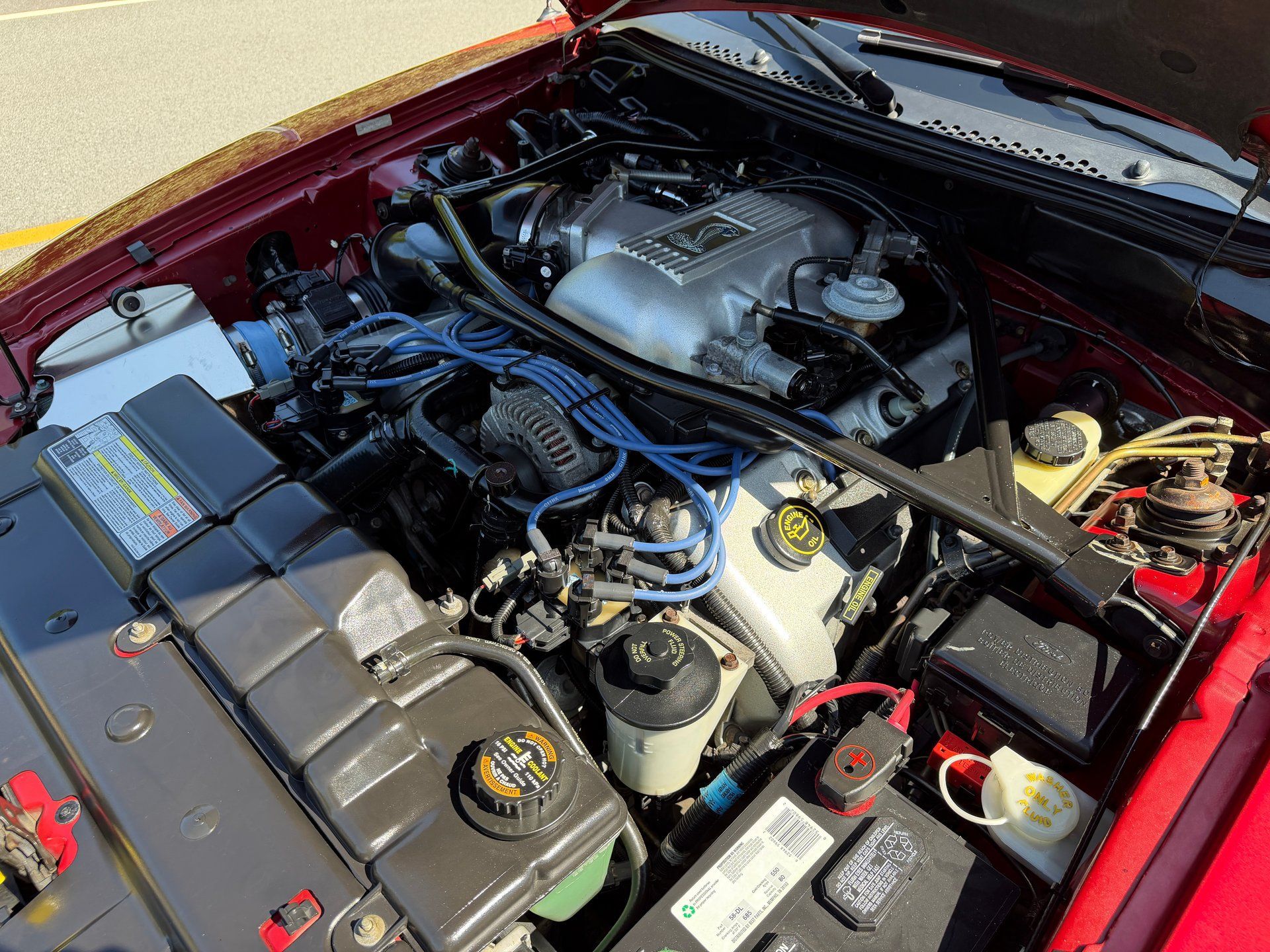 Used 1996 Ford Mustang Cobra RWD image 31