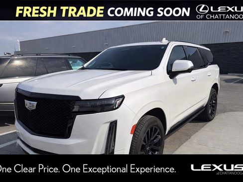 Used 2024 Cadillac Escalade Sport Platinum w/ LPO, ONYX Package image 1