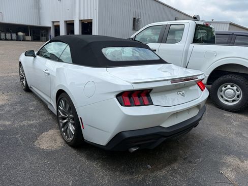Used 2024 Ford Mustang Premium RWD image 4