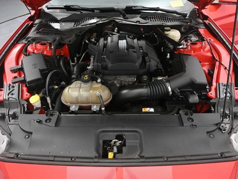 Used 2016 Ford Mustang Premium w/ Ecoboost Performance Package RWD image 12
