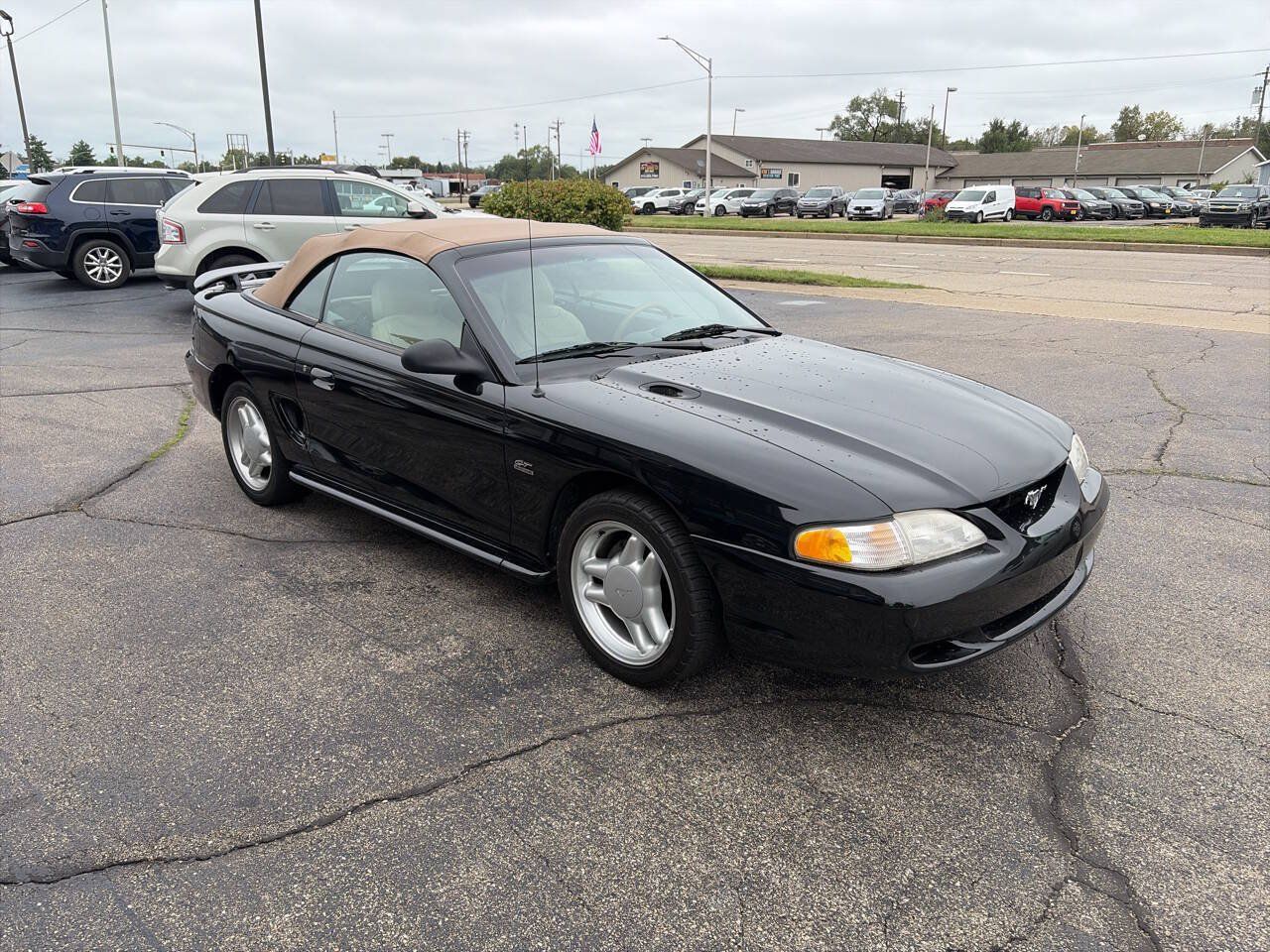 Used 1995 Ford Mustang GT RWD image 4