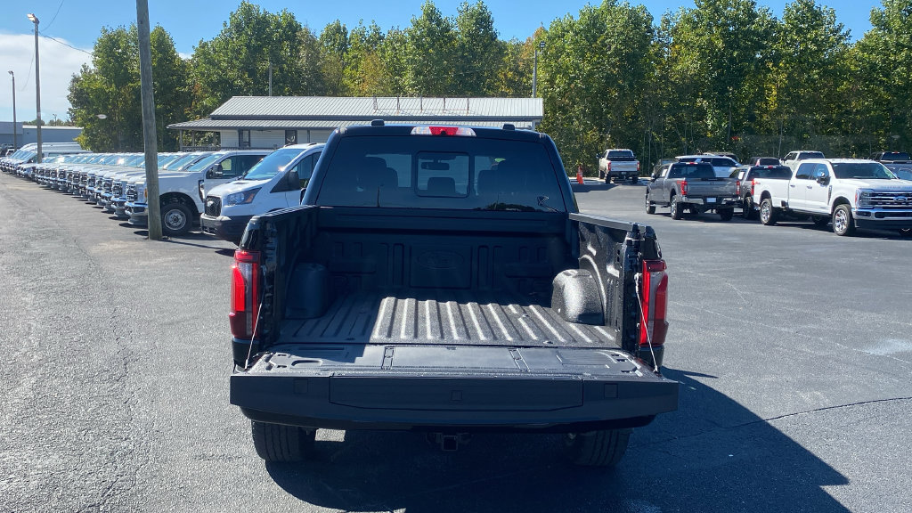 New 2026 Ford F150 Platinum w/ Equipment Group 702A High AWD/4WD image 19