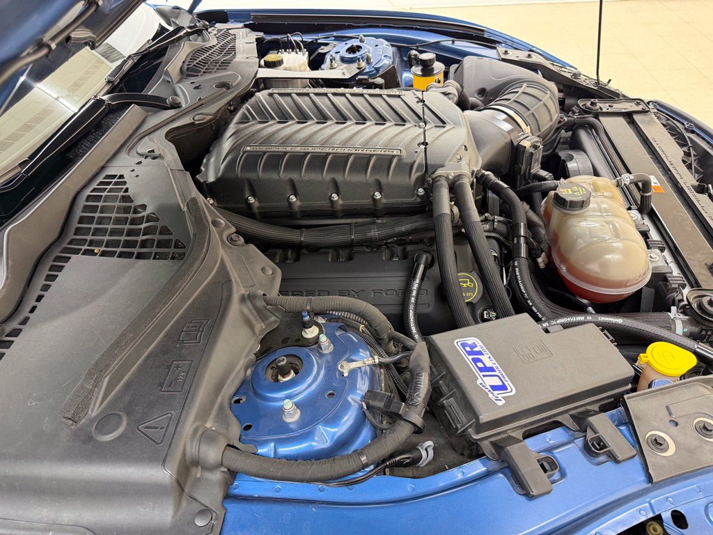 Used 2019 Ford Mustang Shelby GT350 w/ Technology Package RWD image 8