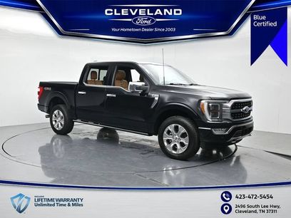 Used 2023 Ford F150 Platinum w/ Equipment Group 701A High
