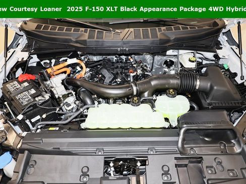 New 2025 Ford F150 XLT w/ Equipment Group 302A MID image 32