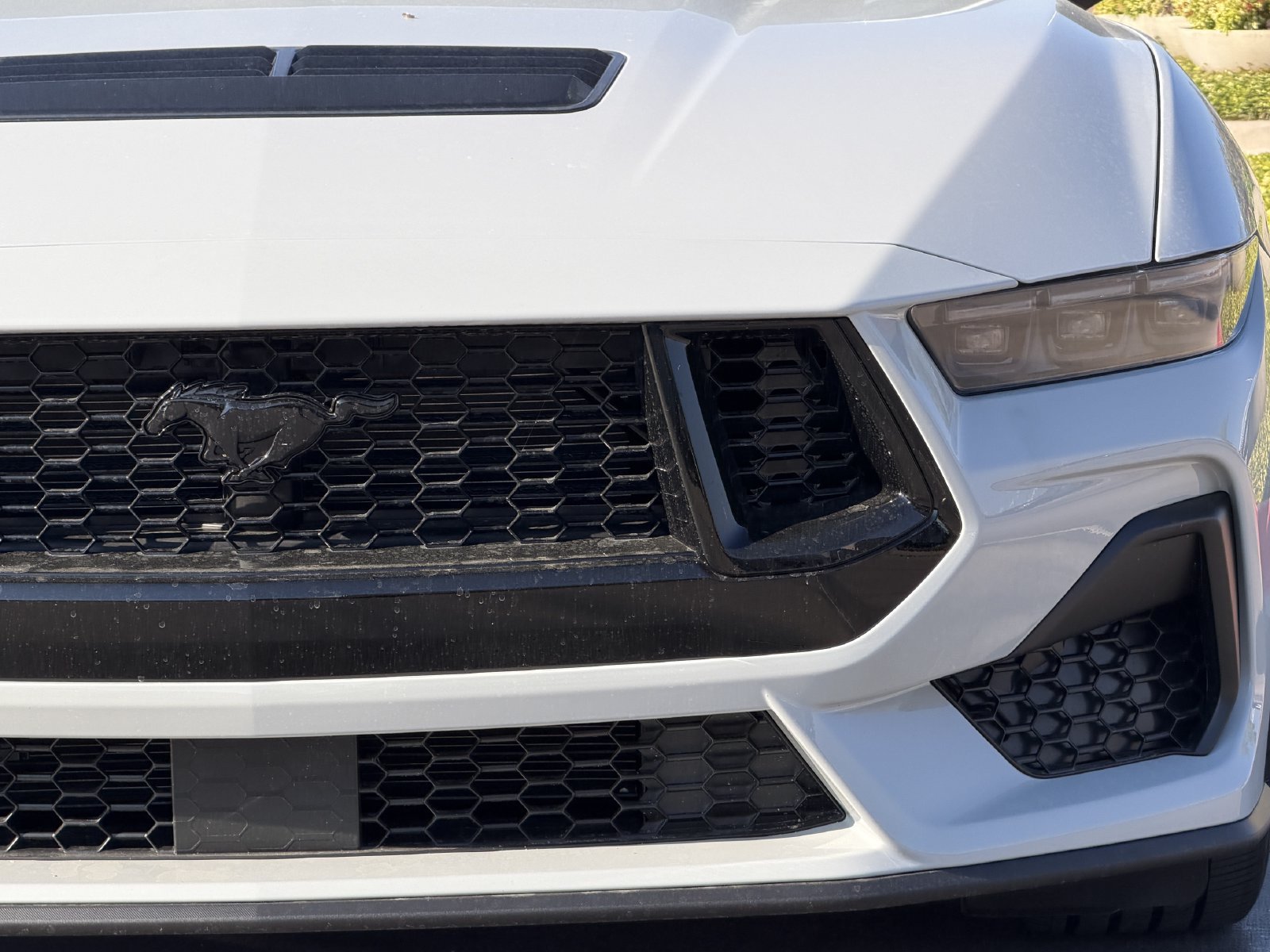 New 2026 Ford Mustang GT w/ Mustang Nite Pony Package RWD image 7