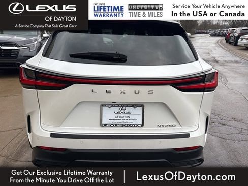 Used 2024 Lexus NX 250 250 Premium image 4