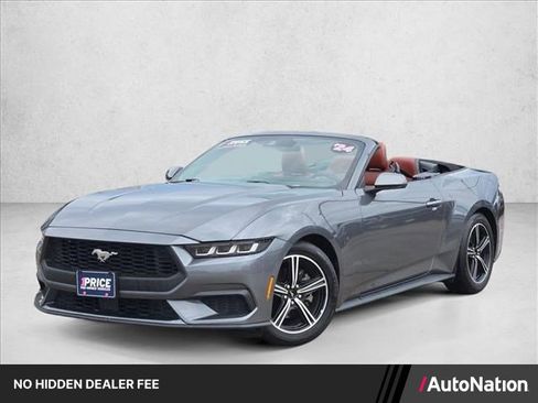 Used 2024 Ford Mustang Premium RWD image 1