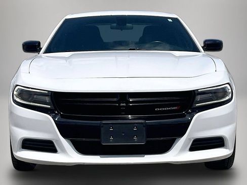 Used 2019 Dodge Charger SXT w/ Blacktop Package RWD image 3