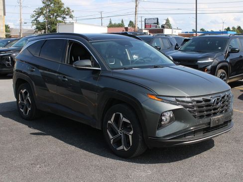 Used 2024 Hyundai Tucson Limited AWD/4WD image 3