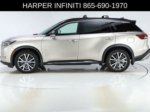 Used 2023 INFINITI QX60 Autograph w/ Cargo Package AWD/4WD image 2