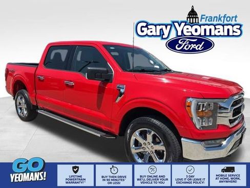 Used 2023 Ford F150 XLT w/ Equipment Group 302A High AWD/4WD image 1