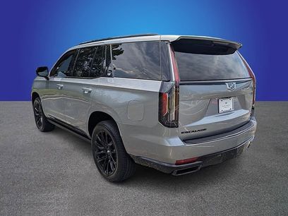 Certified 2024 Cadillac Escalade Sport w/ LPO, ONYX Package