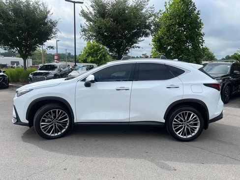 Used 2026 Lexus NX 350h AWD w/ Accessory Package (2T) image 5