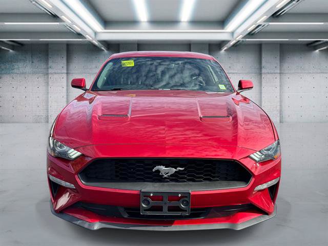 Used 2021 Ford Mustang Coupe w/ Equipment Group 101A RWD image 3