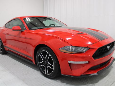 Used 2019 Ford Mustang Coupe w/ Equipment Group 101A RWD image 4