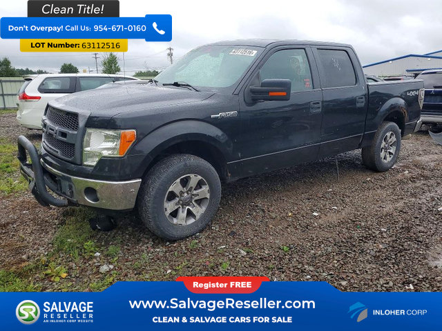 Used 2013 Ford F150 XLT AWD/4WD image 1