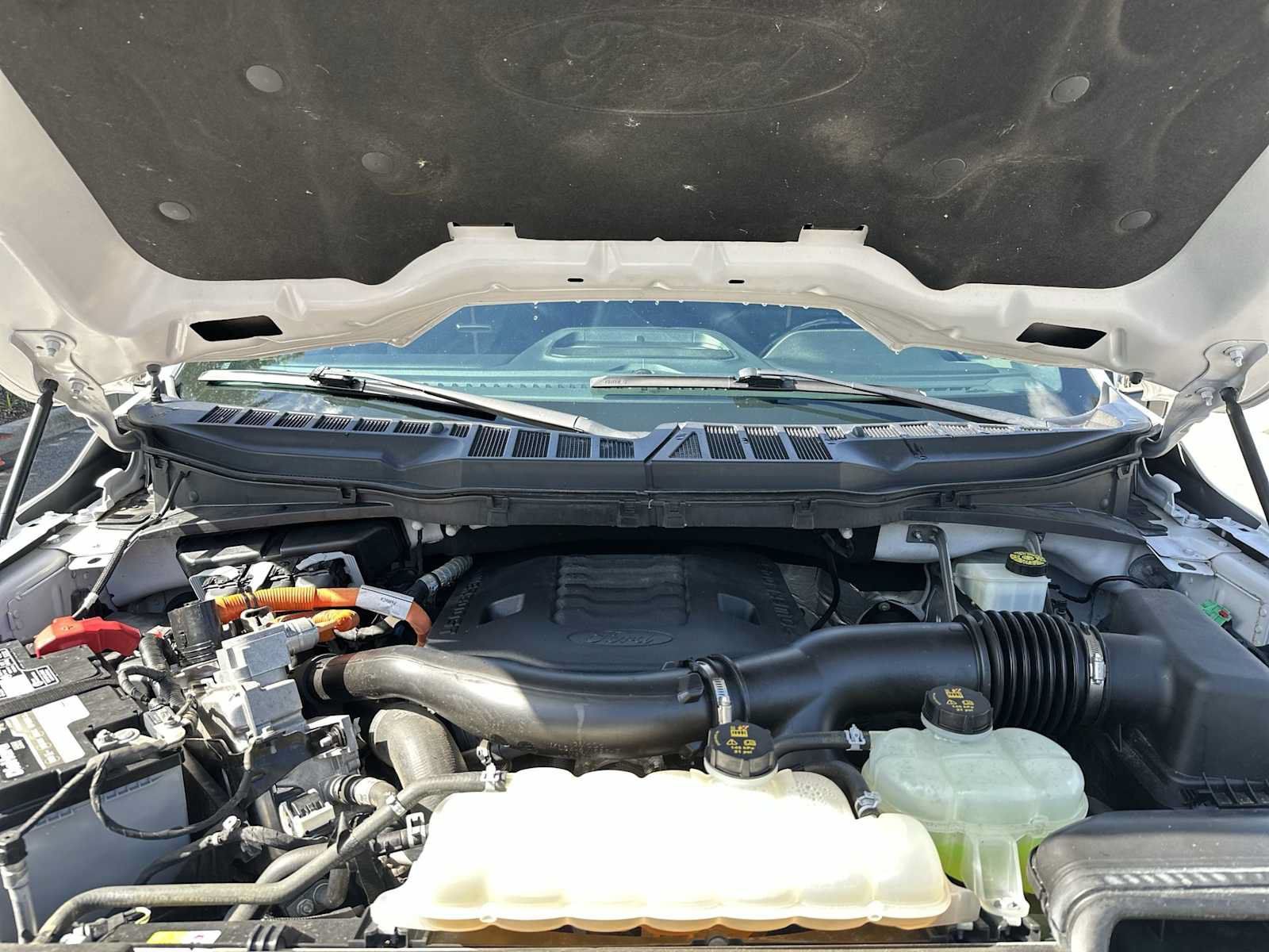 Used 2023 Ford F150 Platinum AWD/4WD image 13
