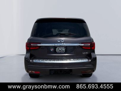 Used 2024 INFINITI QX80 Luxe