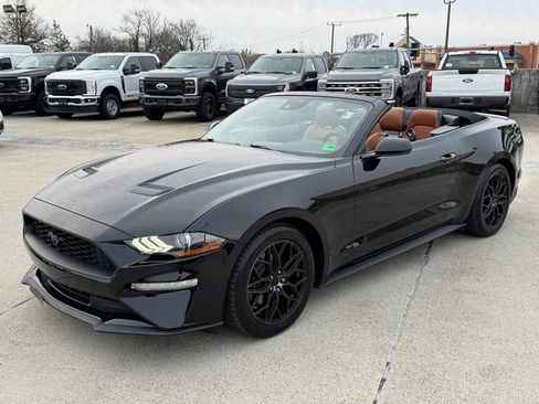 Used 2022 Ford Mustang Premium image 14