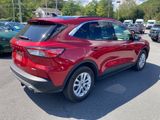 Certified 2020 Ford Escape SE image 4