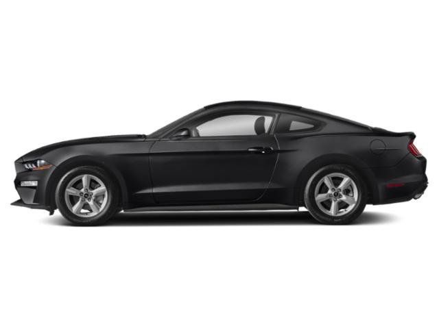 Used 2018 Ford Mustang GT Premium w/ Equipment Group 401A RWD image 3