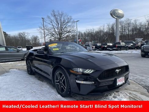 Certified 2023 Ford Mustang Premium image 1