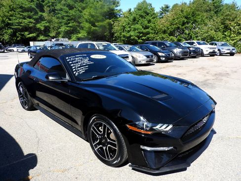 Used 2018 Ford Mustang Premium w/ Equipment Group 201A image 4