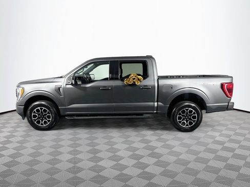 Used 2023 Ford F150 XLT w/ Equipment Group 302A High AWD/4WD image 4