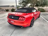 Used 2019 Ford Mustang Premium image 5